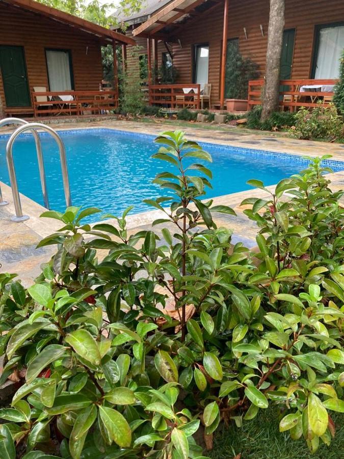Tatil Keyfi Motel 코자엘리 외부 사진